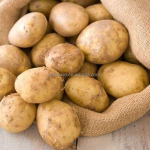 Batatas Dulces Amarillas Frescas 2025 - Marca JUFU FOOD 150g 8cm de Largo Cosecha Reciente Almacenamiento Refrigerado Shandong China - Product Image 5