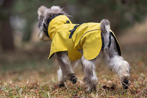 Imperméable classique simple en PU <span class=keywords><strong>pour</strong></span> chien, vêtements <span class=keywords><strong>pour</strong></span> animaux <span class=keywords><strong>de</strong></span> compagnie <span class=keywords><strong>pour</strong></span> teckel, <span class=keywords><strong>whippet</strong></span>, gris, toutes saisons - Product Image 6