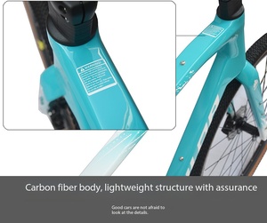 Bicicleta de Gravel de Fibra de Carbono 700X40C de 10 Velocidades con Doble Freno de Disco Completamente Integrado, Cuadro de Fibra de Carbono Zx-00 Excepcionalmente Ligero - Product Image 2
