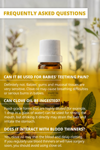 Factory Supply Bulk Clove Essential <b>Oil</b> Syzygium aromaticum Steam Distilled for Aromatherapy Cosmetics Skincare <b>Diffuser</b> - Product Image 3