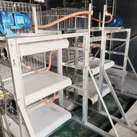 Bande transporteuse en PVC pour la gestion du fumier, longueur et largeur personnalisables, pour cages à poulets, élevages avicoles, canards et oies