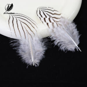卸売りフェザーズナチュラル5-10 cmシルバー羽毛小型キジフェザー帽子デコレーション手工芸品ドライフライタイ用品 - Product Image 2