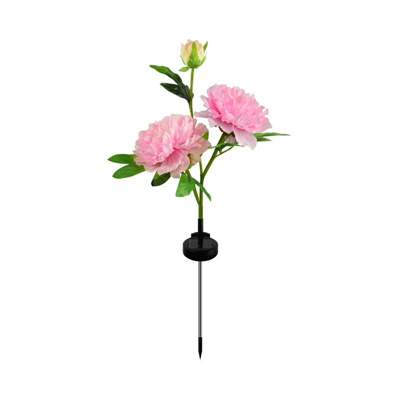 Rosa 3 flores blanco cálido