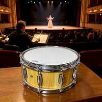 Classical Sanre Drum 14"X6.5 DF-AM14-OAK Percussion Instrument Adjustable Heavy Duty Oak Chamber