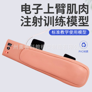 Modèle d'injection intramusculaire au bras, outil de démonstration électronique avancé pour l'entraînement à l'injection intramusculaire au bras supérieur avec - Product Image 3