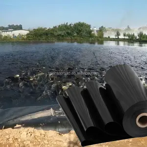 Geomembranas de polietileno impermeable para estanque de peces