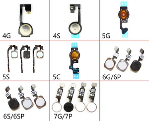 <span class=keywords><strong>Bouton</strong></span> d'accueil avec câble flexible pour <span class=keywords><strong>iPhone</strong></span> 5 5c 5s <span class=keywords><strong>6</strong></span> 6plus 6s <span class=keywords><strong>Plus</strong></span> 7 7plus 8 8plus, assemblage de <span class=keywords><strong>bouton</strong></span> d'accueil flexible - Product Image 3