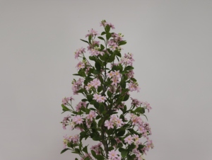 Vigne de <span class=keywords><strong>jasmin</strong></span> artificielle rouge en plastique en gros, <span class=keywords><strong>jasmin</strong></span> confédéré artificiel pour décoration murale, plafond et mariage - Product Image 3
