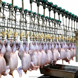 Desplumadora Automática de Pollos |   Ahorro de Energía de 1.1kW |   Aves de Corral Rurales Africanas | Garantía de 1 año para toda la máquina - Product Image 3