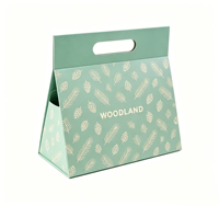 Boîte cadeau personnalisée ODM, boîte en carton pliable avec poignée découpée pour emballage cadeau pour occasions quotidiennes