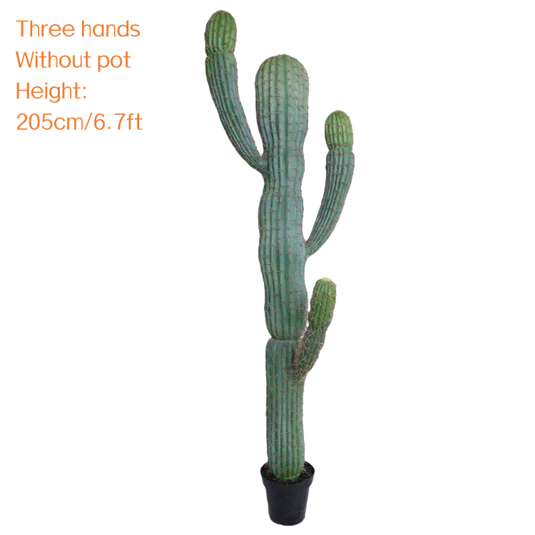 Trois mains 205 cm/6,7 pieds