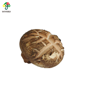Chất Lượng Tốt Kích Thước Khác Nhau Khô Hoa Trắng Nấm Hoa Trắng Khô <span class=keywords><strong>Shiitake</strong></span> - Product Image 5
