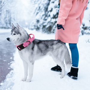 Collar Táctico para Perro de Nailon Ajustable para Perros Medianos y Grandes, Estilo Militar para Entrenamiento al Aire Libre - Product Image 3