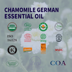 Aceite Esencial de <span class=keywords><strong>Manzanilla</strong></span> 100% Puro, Natural y Orgánico, Destilado al Vapor, de Primera Calidad, Aroma Floral, Nutritivo para el Cuerpo, Proveedor al por Mayor - Product Image 2