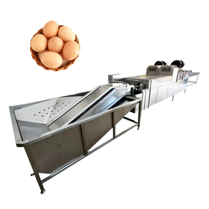 <b>Egg</b> Washer Machine Stainless Steel Industrial <b>Egg</b> Washing Equipment for Poultry Farm Use - Product Image 1