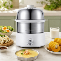 Cuiseur à œufs électrique automatique en acier inoxydable 350W avec minuterie et arrêt automatique, cuiseur vapeur double couche, chauffe-plats pour la cuisine