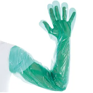 Blue Black Transparent White Pink Vinyl/ Nitrile/Latex/Polythene/PVC/PE/TPE/Rubber/Plastic Disposable Hand Clean Gloves