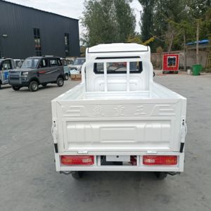 Prix d'usine Nouveau mini-camion électrique de livraison à basse vitesse avec freins à disque sur 4 roues, moteur 50 kW, marque NE, autonomie <100 km pour adultes - Product Image 5