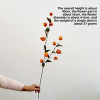 Kunstbloemen, Lantaarnvruchten, Zure bessen, Modelkamers Woondecoratie, Bruidsfotografie, Scène-arrangement