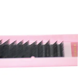 High Quality Soft Eyelashes Private Label Custom Mink Classic Lashes L M Curl Fox Cat Eye 0.07 Individual Eyelash Extensions