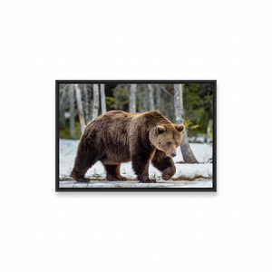 Minimalist Man Cave Canvas Print: Elegant Brown Bear Artwork,<b>BLACK</b> <b>FRAMED</b> CANVAS - Product Image 2