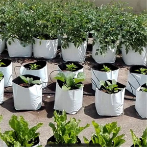 Sacs <span class=keywords><strong>de</strong></span> semences d'herbe à prix compétitif pour le jardin - Product Image 1