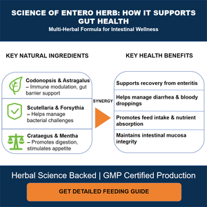 EnteroHerb, Suplemento Natural a Base de Hierbas para la Salud Intestinal de Aves de Corral |   Ayuda a Controlar la Enteritis Necrotica y la Diarrea |   Fórmula Sin Antibióticos - Product Image 4