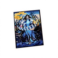 Protège-cartes en plastique laser irisé effet arc-en-ciel, imprimés mat, personnalisables sur le thème de l'anime