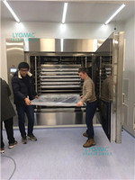 Lyophilisateur Machine congelé Freezeilizer Viande Alimentaire Séchoir à fruits sous vide Lyophilisation Lyophilisateur industriel