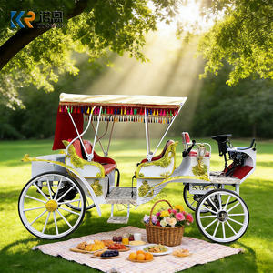 Carruaje de Caballos Eléctrico de Lujo <span class=keywords><strong>con</strong></span> Luces LED <span class=keywords><strong>para</strong></span> Bodas, Navidad, en Venta, Carruaje Puxado por Caballos <span class=keywords><strong>con</strong></span> Luces - Product Image 2