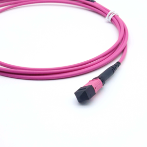 Cable de Fibra Óptica MPO <span class=keywords><strong>OM3</strong></span> <span class=keywords><strong>300</strong></span>-(F) de 8/12/24 Núcleos de Baja Pérdida MPO-MPO para Interconexión de Servidores, Grado Telecomunicaciones - Product Image 6