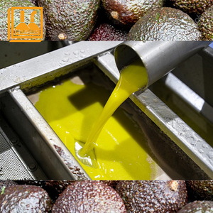 Máquina Rentable para la Producción de Aceite de Aguacate Virgen Prensado en Frío de 500 kg/h, Equipo para Aceite de Aguacate Virgen - Product Image 6