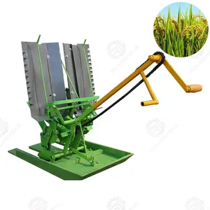 High Efficiency Paddy Rice Transplanter 2 Rows Planting Machine Manual Rice Planter Best Price for Rice Seeder Machine Em 250mm