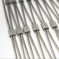 316 filet de maille de corde de câble métallique d'acier inoxydable Flexible pour la technique de surface de Style uni de mur d'escalade de vert de plante