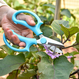 กรรไกรตัดแต่งกิ่งฮยองยอง สแตนเลสสตีล 10-20 มม. ด้ามจับแบบผีเสื้อ สำหรับตัดก้านดอกไม้ เครื่องมือทำสวน สีม่วง น้ำเงิน เขียว ชมพู - Product Image 3