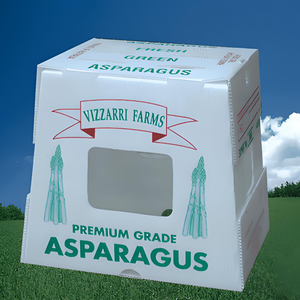 Giá tốt nhất Poly <span class=keywords><strong>PP</strong></span> sóng Rau Ớt bao bì nhựa lưu trữ hạt tiêu <span class=keywords><strong>Polypropylene</strong></span> trái cây vận chuyển lưu hành hộp - Product Image 4