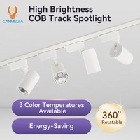 Projecteur COB orientable 30W pour éclairage intérieur, système d'éclairage sur rail commercial, projecteur sur rail, éclairage sur rail LED