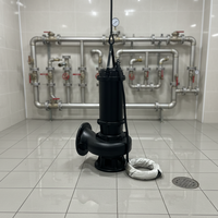 Pompe à eaux usées submersible à impulsion en fonte ductile anti-colmatage, basse pression, personnalisable OEM, certifiée conforme