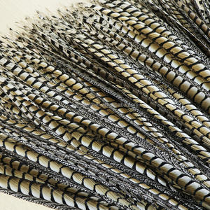 Piume Lunghe di Fagiano Lady Amherst per Costumi di Carnevale, Copricapo, <span class=keywords><strong>Cappello</strong></span> da Ballo, Motivo Tinto in Capo - Product Image 5