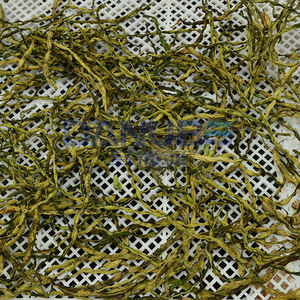 Nouvelle Conception Ligne de Production de Séchage de Haricots Verts avec Pompe à Chaleur Machine Déshumidificatrice pour Haricots Verts - Product Image 2