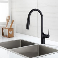 Keran Dapur Modern Satu Gagang Tarik Turun dengan Inti Katup Keramik Pemasangan Satu Lubang untuk Penggunaan Hotel
