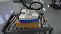 Cobots à vision guidée pour la transformation alimentaire, machines de tri de fruits de haute précision, cobots compacts pour l'alimentation, bras robotique pour gagner de la place