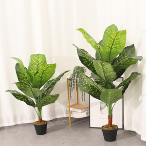 Albero Artificiale di Difennbachia Sempreverde, Pianta Finta in Plastica 90CM, Verde, Ecologico, Durevole, per Uso Interno, Quasi Naturale - Product Image 5