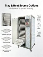 Machine à sécher les tranches de pommes, four de séchage à circulation d'air chaud, déshydrateur de fruits multi-plaques en acier inoxydable pour la transformation des chips de pommes