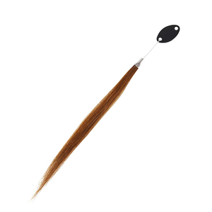 30 mèches/ensemble d'échantillons de couleur de cheveux, cheveux humains 100% Remy, cheveux vierges pour la teinture des cheveux en salon, échantillons de test - Product Image 5