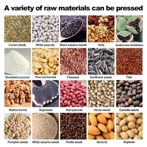 เครื่องสกัดน้ำมันมะพร้าวเครื่องสกัดเมล็ดงาถั่วลิสงฝ้ายเย็น - Product Image 6