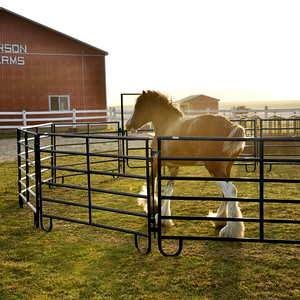 Hoch leistungs 12 ft Vieh Corral Paneele 4ft x 16 ft pulver beschichtet PVC Metall Pferd Paddock Zaun verzinkt Viehhof Panel - Product Image 2