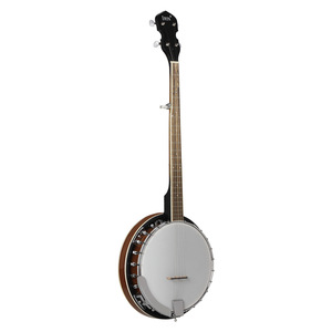 IRIN IRIN5 Instrumento Étnico Occidental Banjiu Qin de 5 Cuerdas, Material PVC Avanzado REMO BJ-504 - Product Image 2