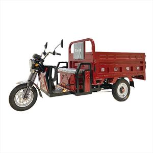 Vélo électrique à trois roues de 900 kg de bonne qualité avec moteur de 1000 W et pneus larges, fabriqué en Chine, à vendre - Product Image 1