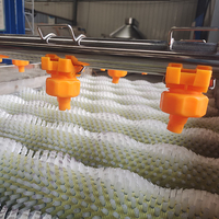 Multifunctionele Groente Suikerriet Parallel Roller Reinigingsmachine Hogedrukspuit Fruit Wasmachine